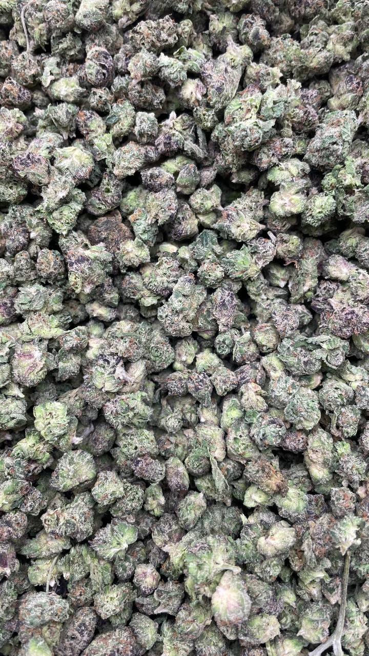Wonka Candy Smalls