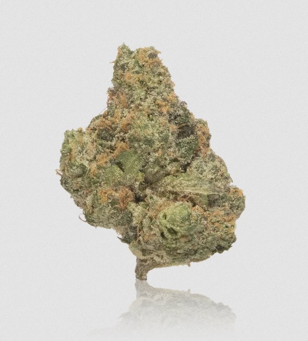Bulk Premium Flower Project 4516