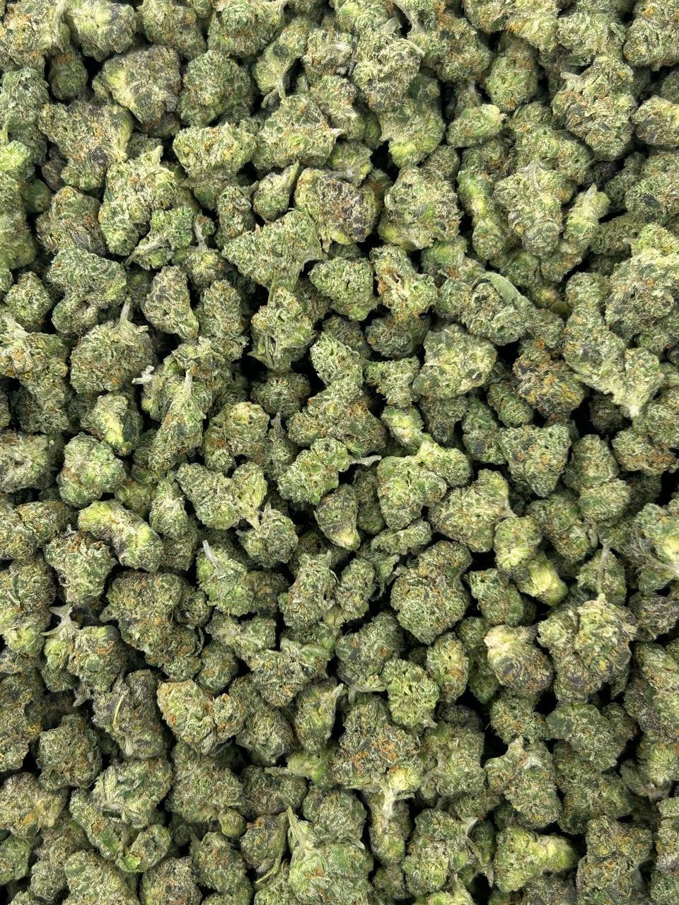 Animal Mints Smalls