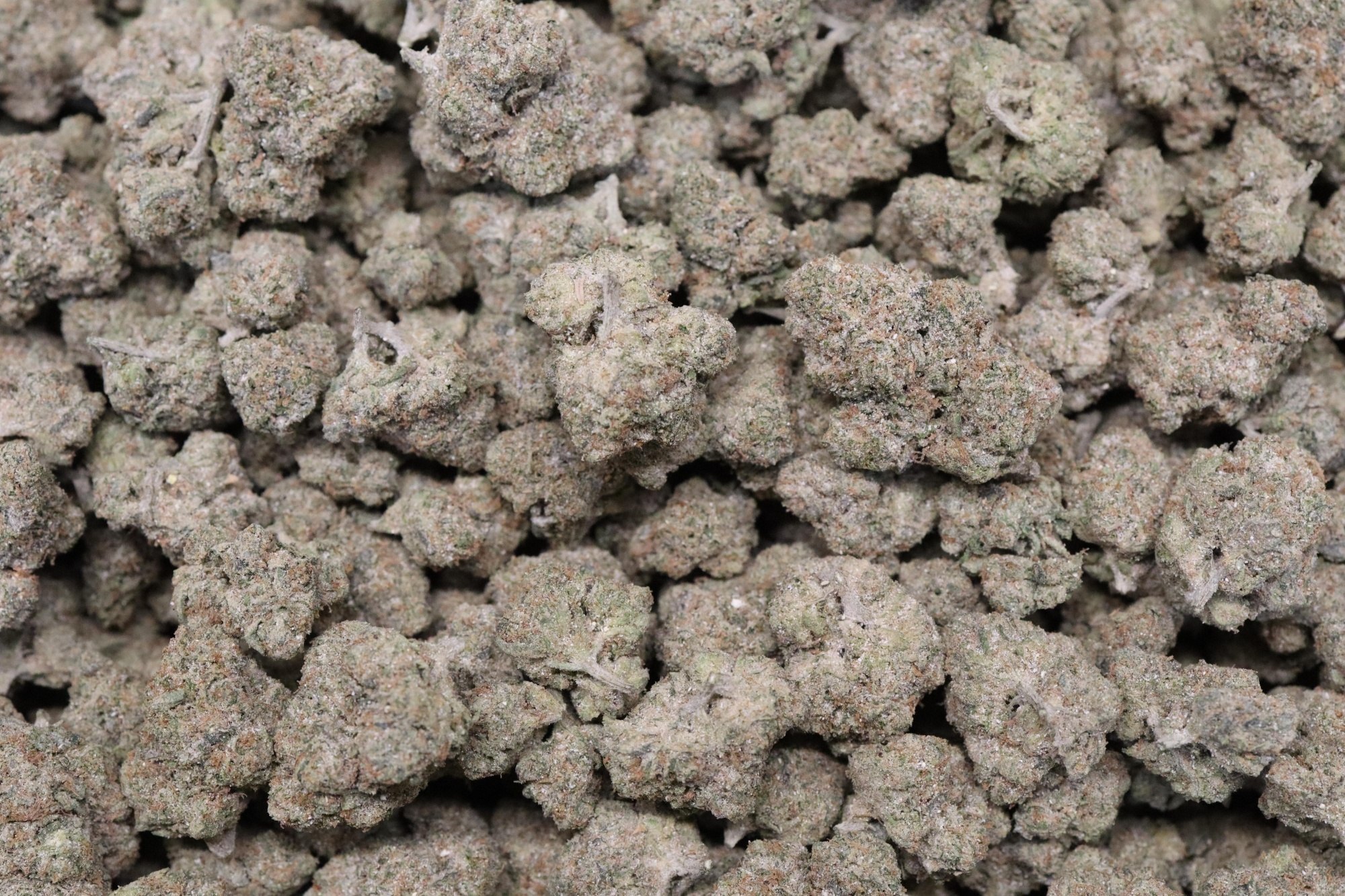 Billy Kimber Og Snow Caps Thca