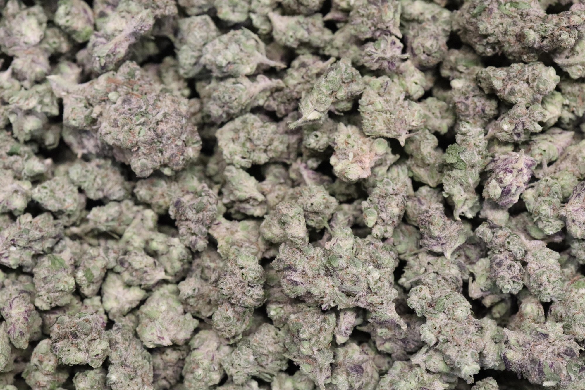 Hash Burger Smalls