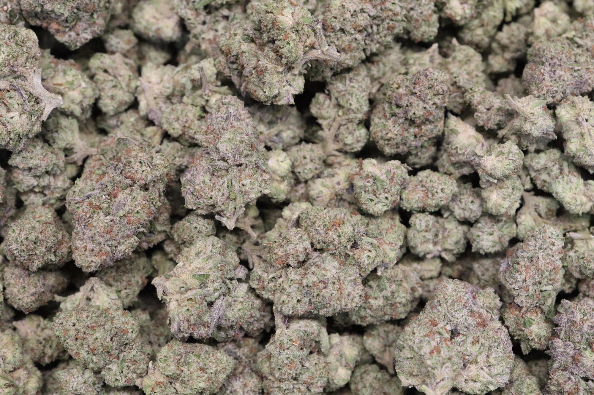 Kool Aid AAA Light Dep
