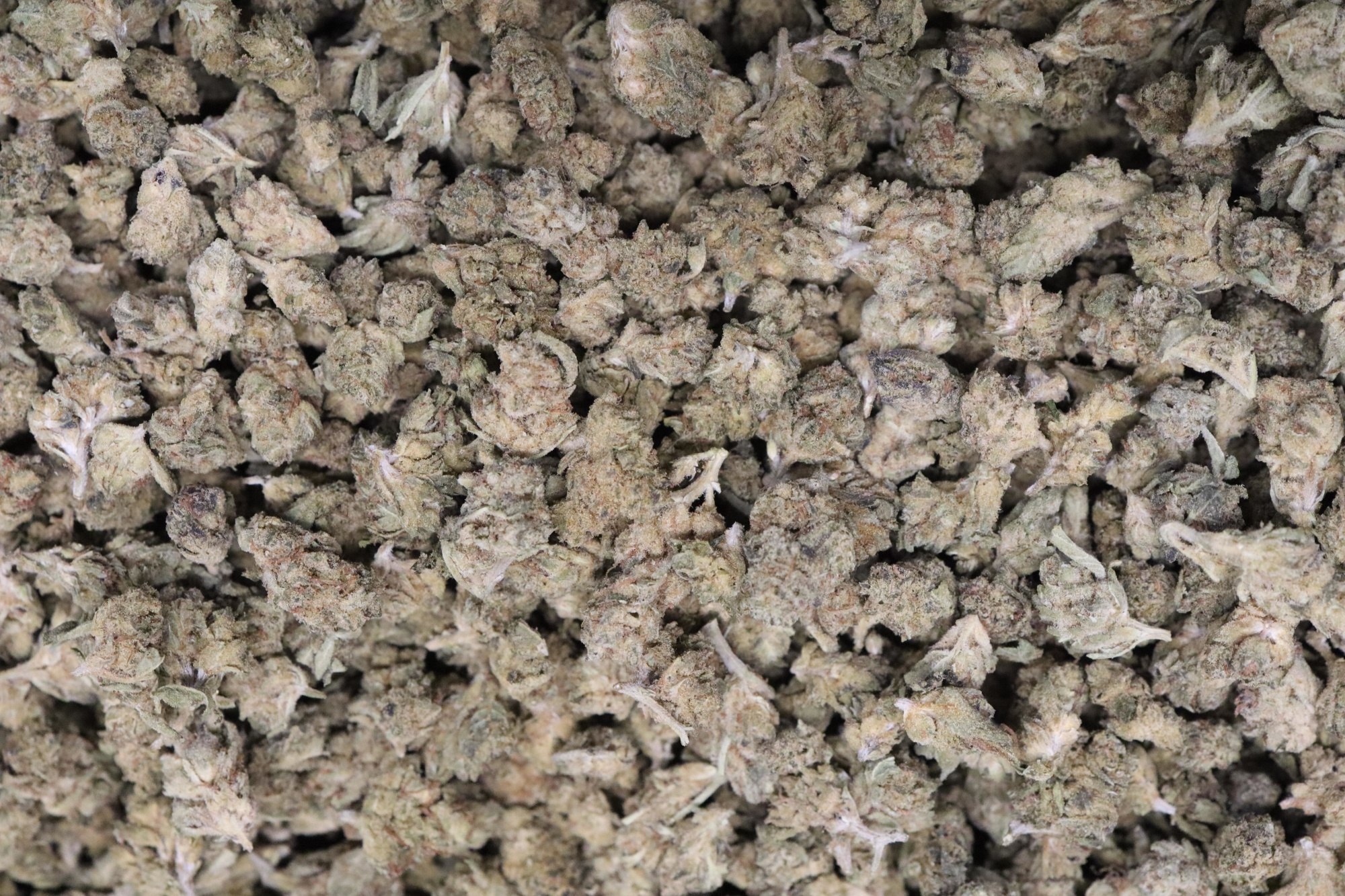 Truffle a Smalls