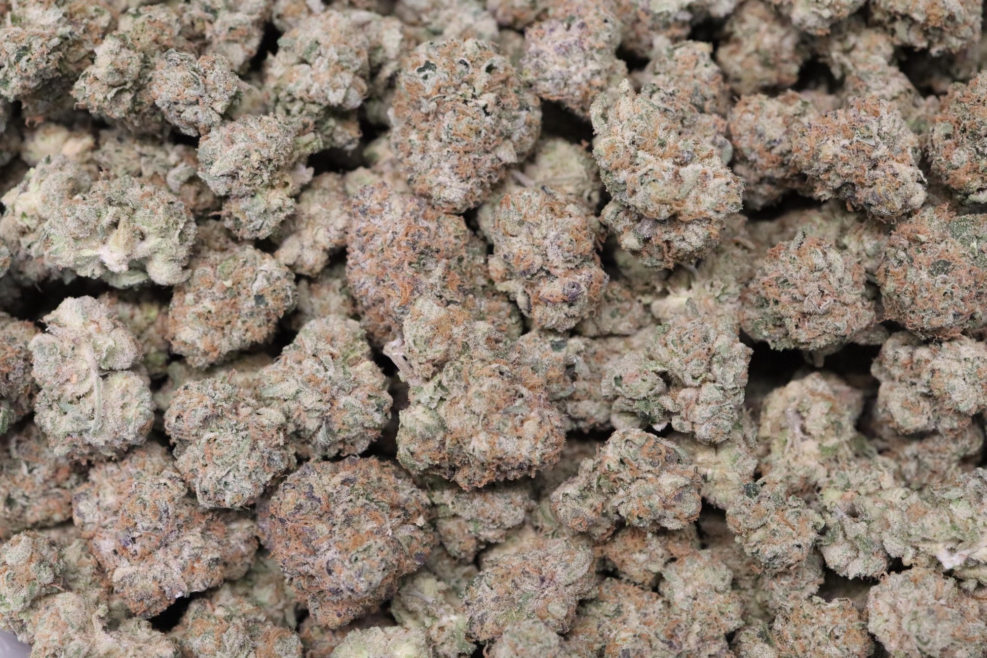 Z Up Indoor Flower