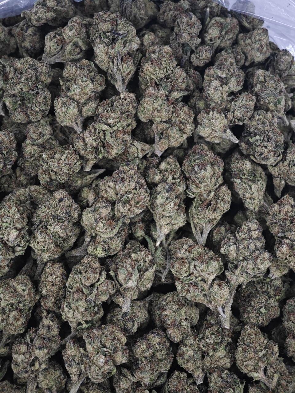 Blue Nerds Deps