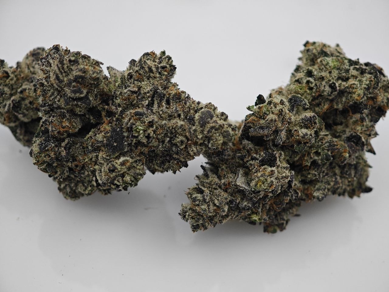 Frosted Donuts Dwc