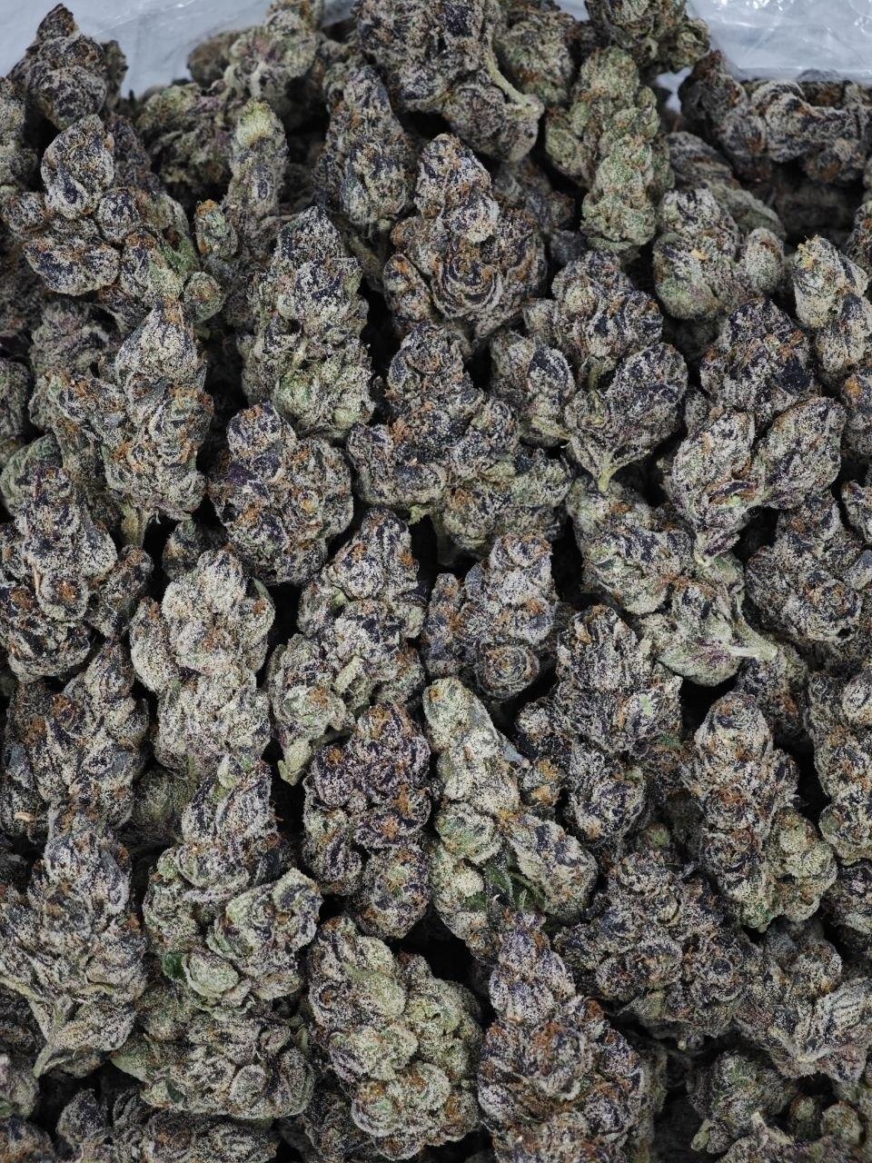 Gushers