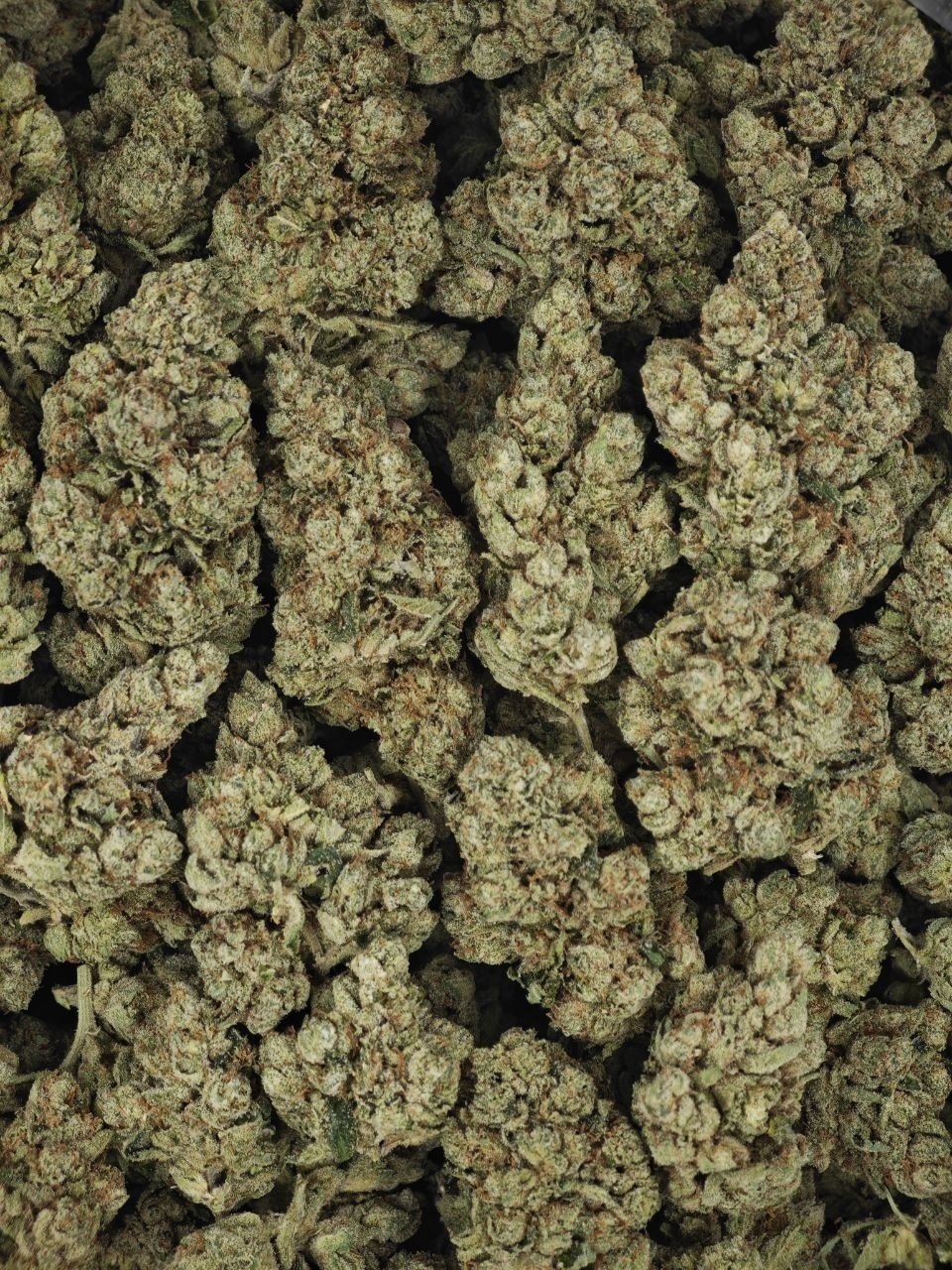 Knockout Og