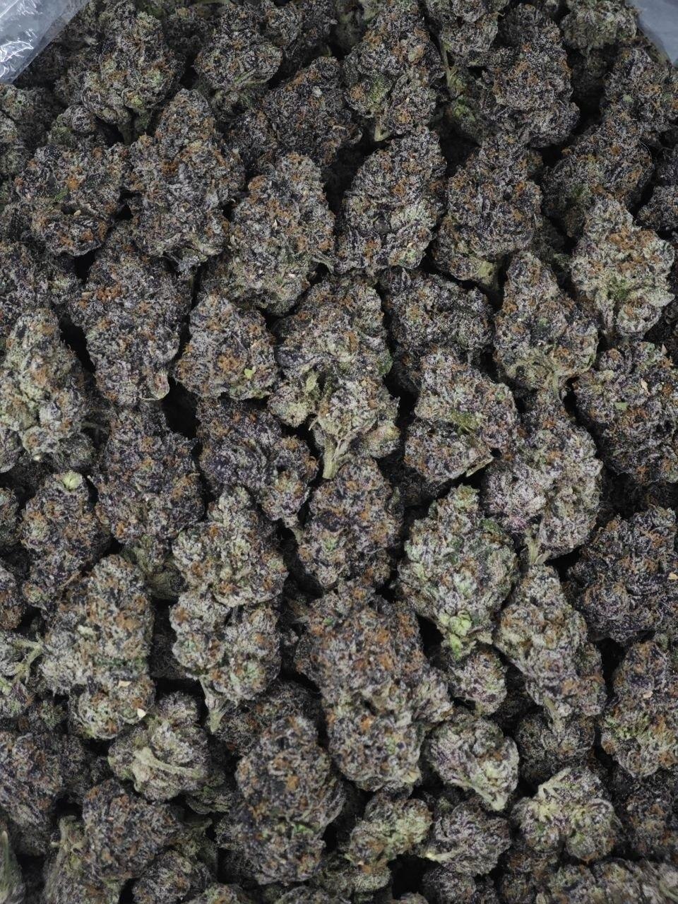 Lemon Cherry Guava