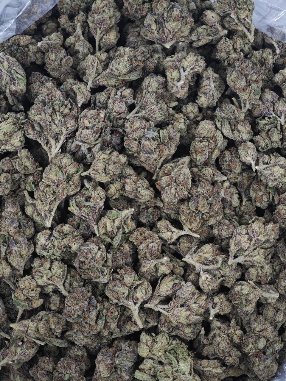 Lcg Medium