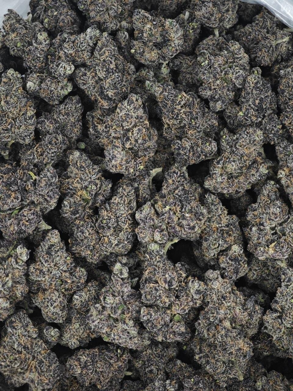 Ultra Violet
