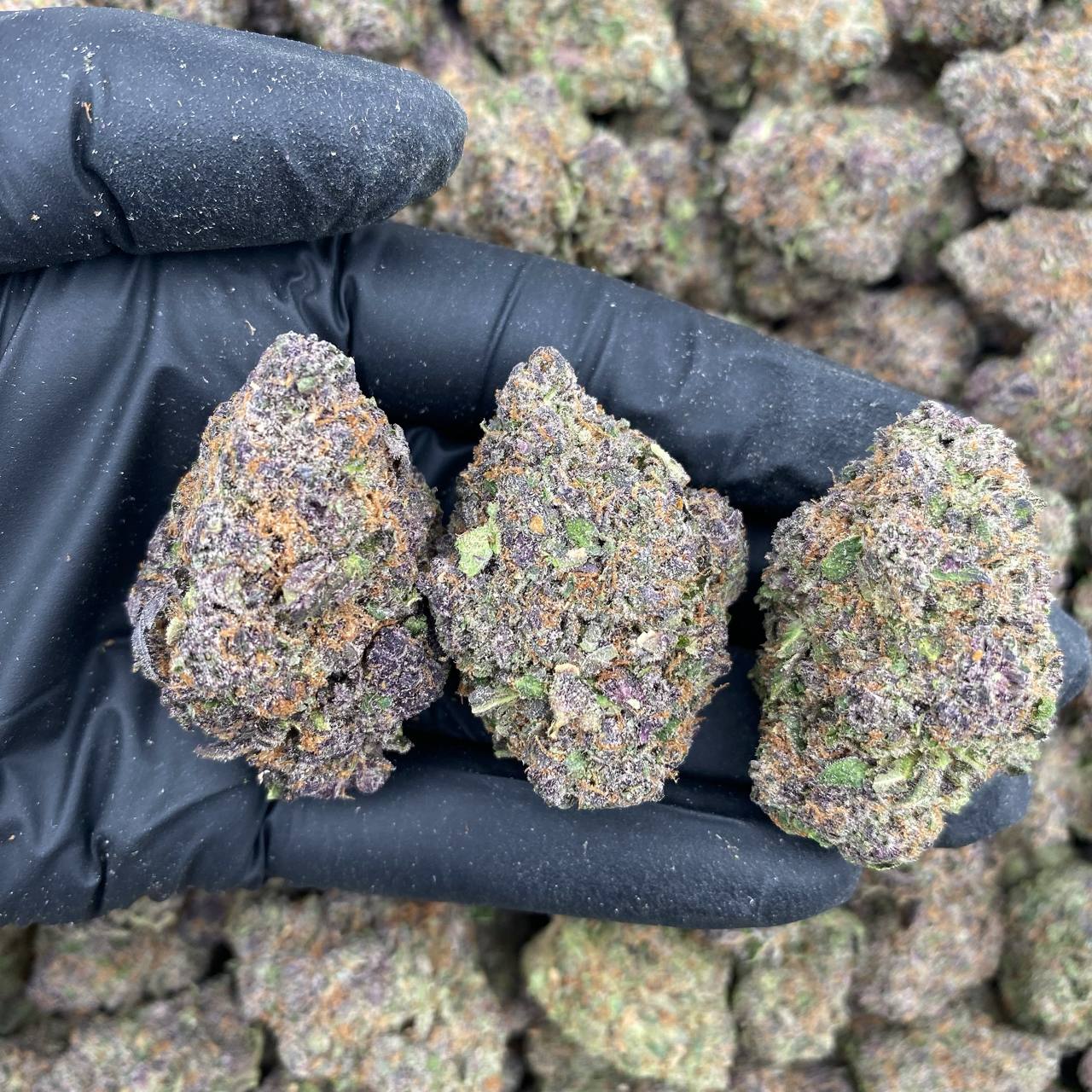 Candy Za