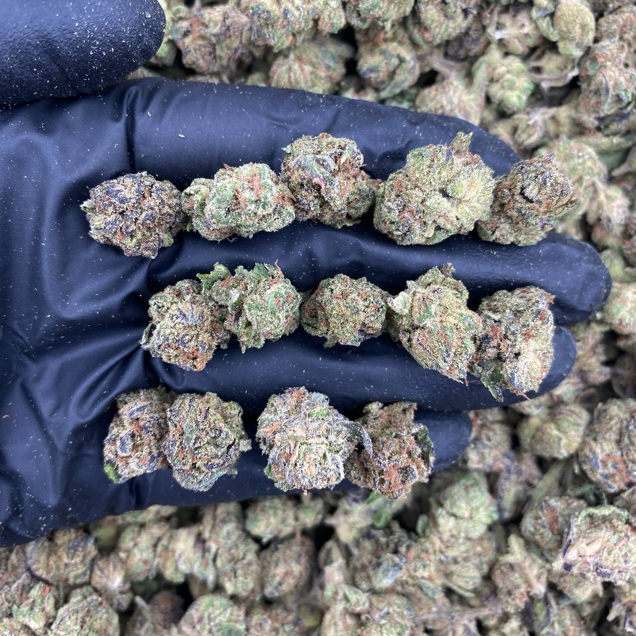 Blue Magic Smalls