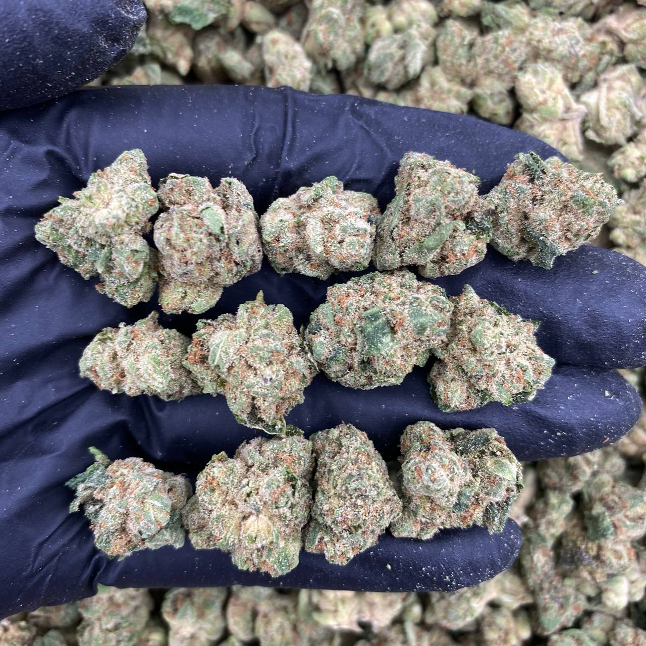 Super Boof Glue Smalls