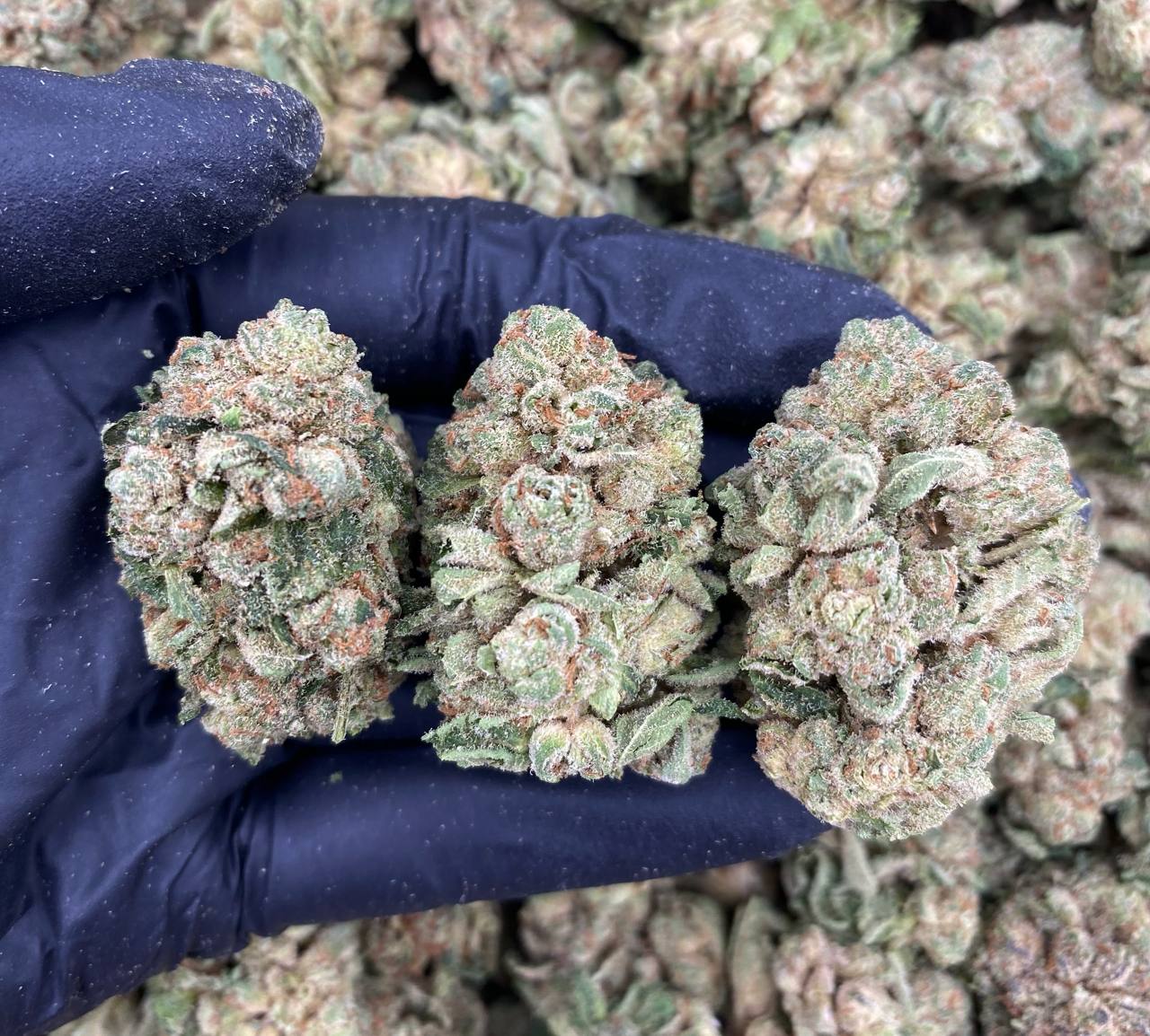 Super Boof Glue