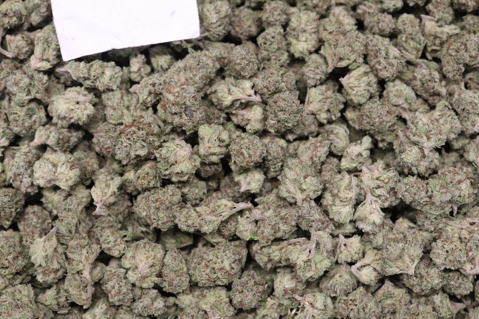 Black Gelato AAA Smalls