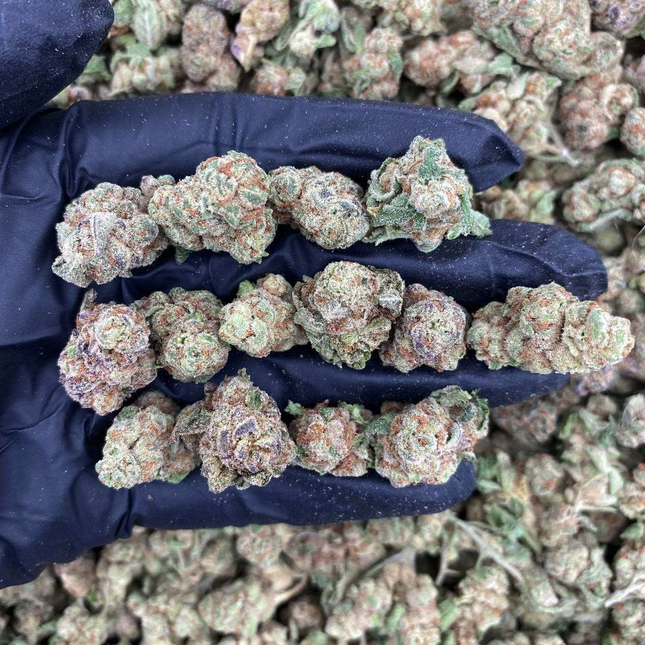 Space Rockz Smalls