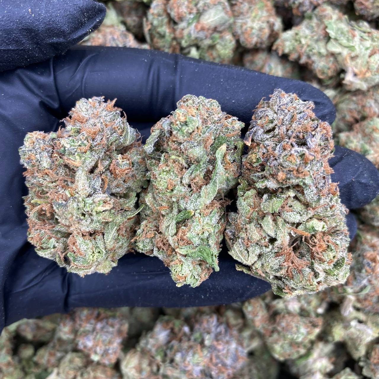 Dark Matter