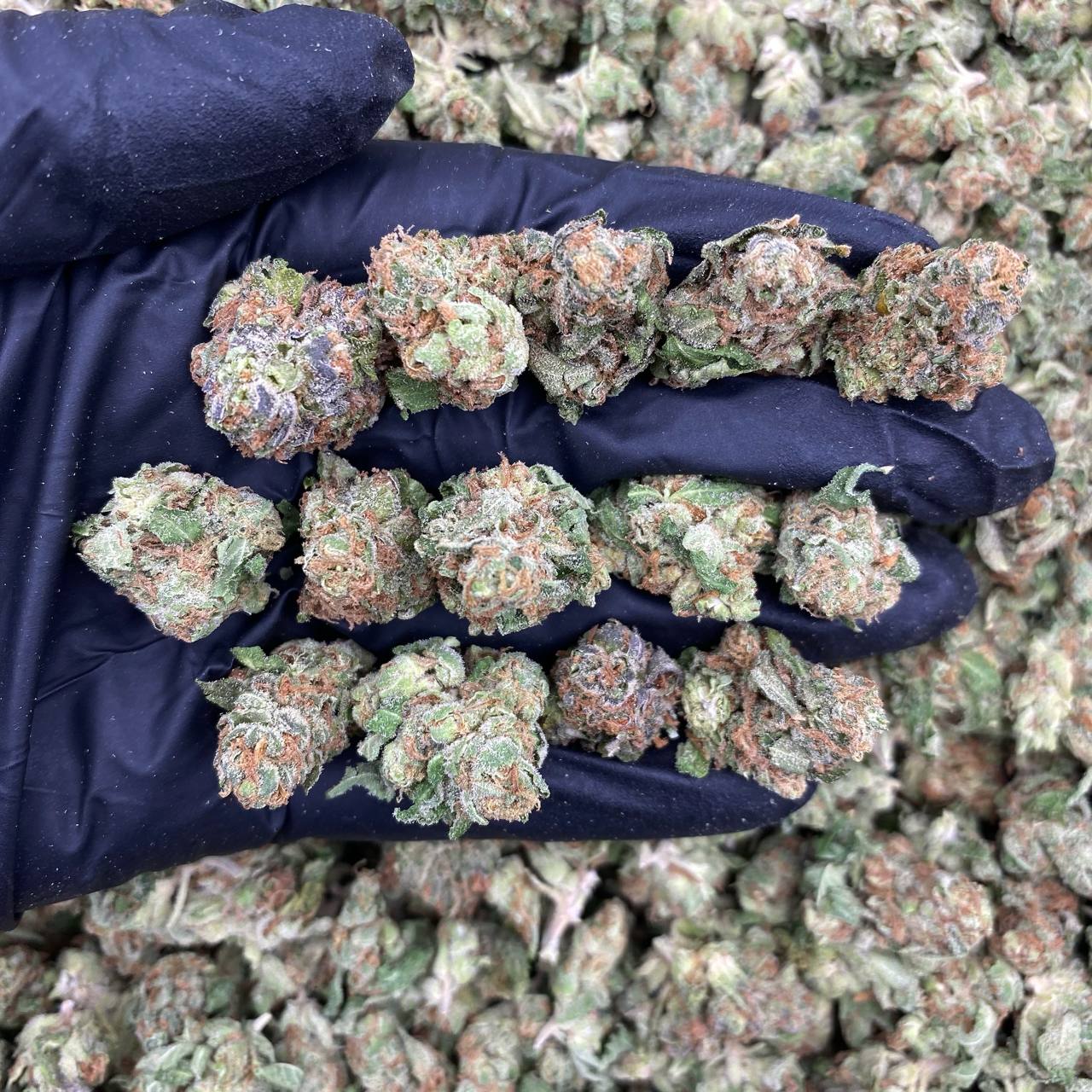 Dark Matter Smalls