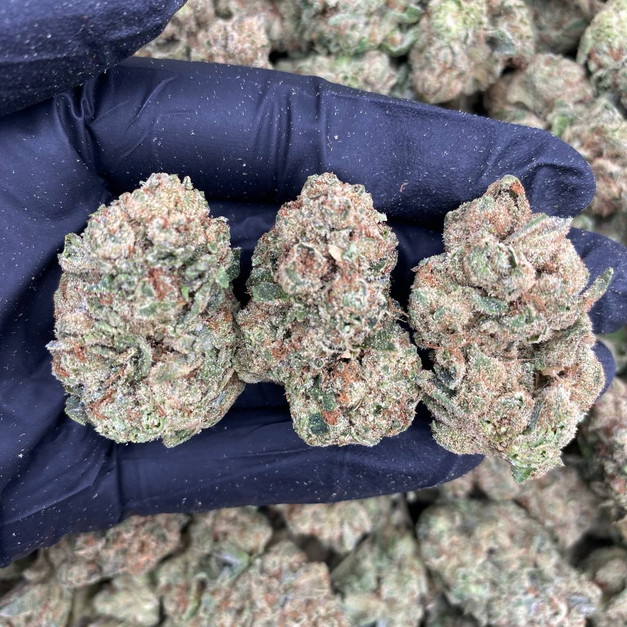Strawberry OG