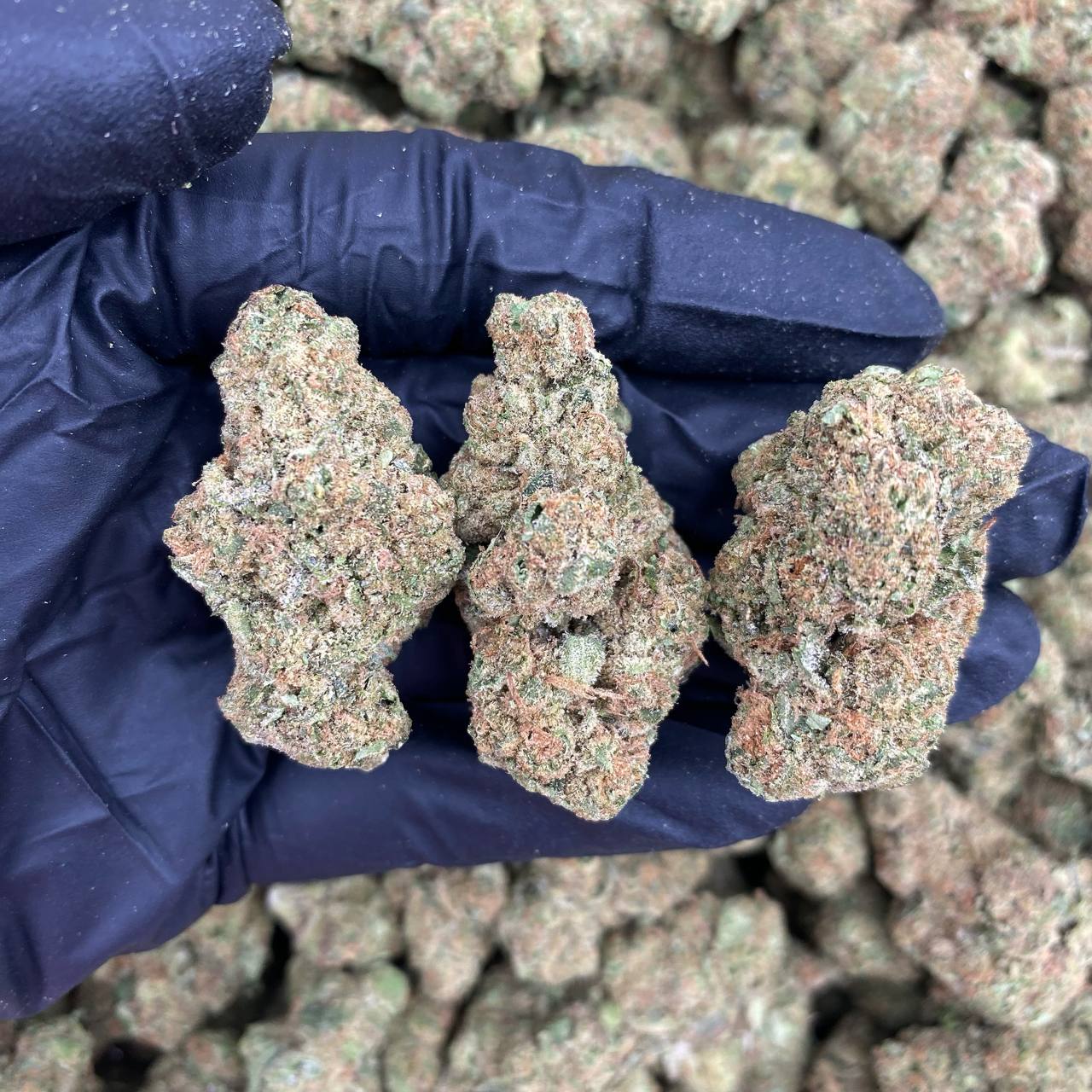Banana Split