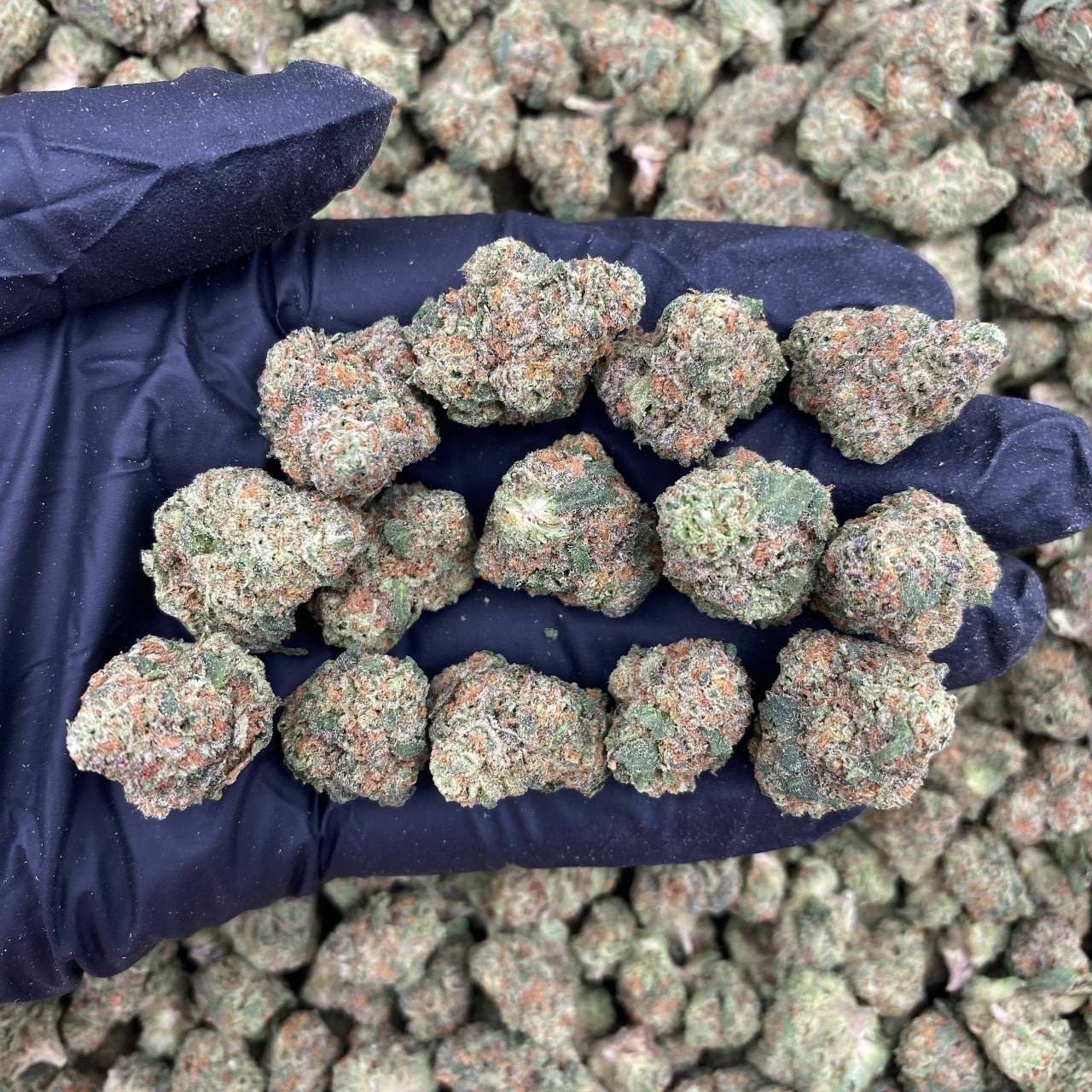 Mystery Candy Smalls