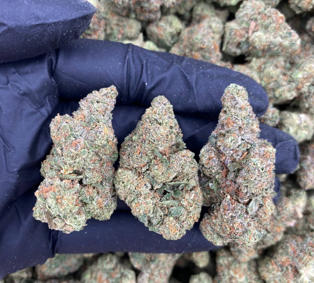 Mystery Candy
