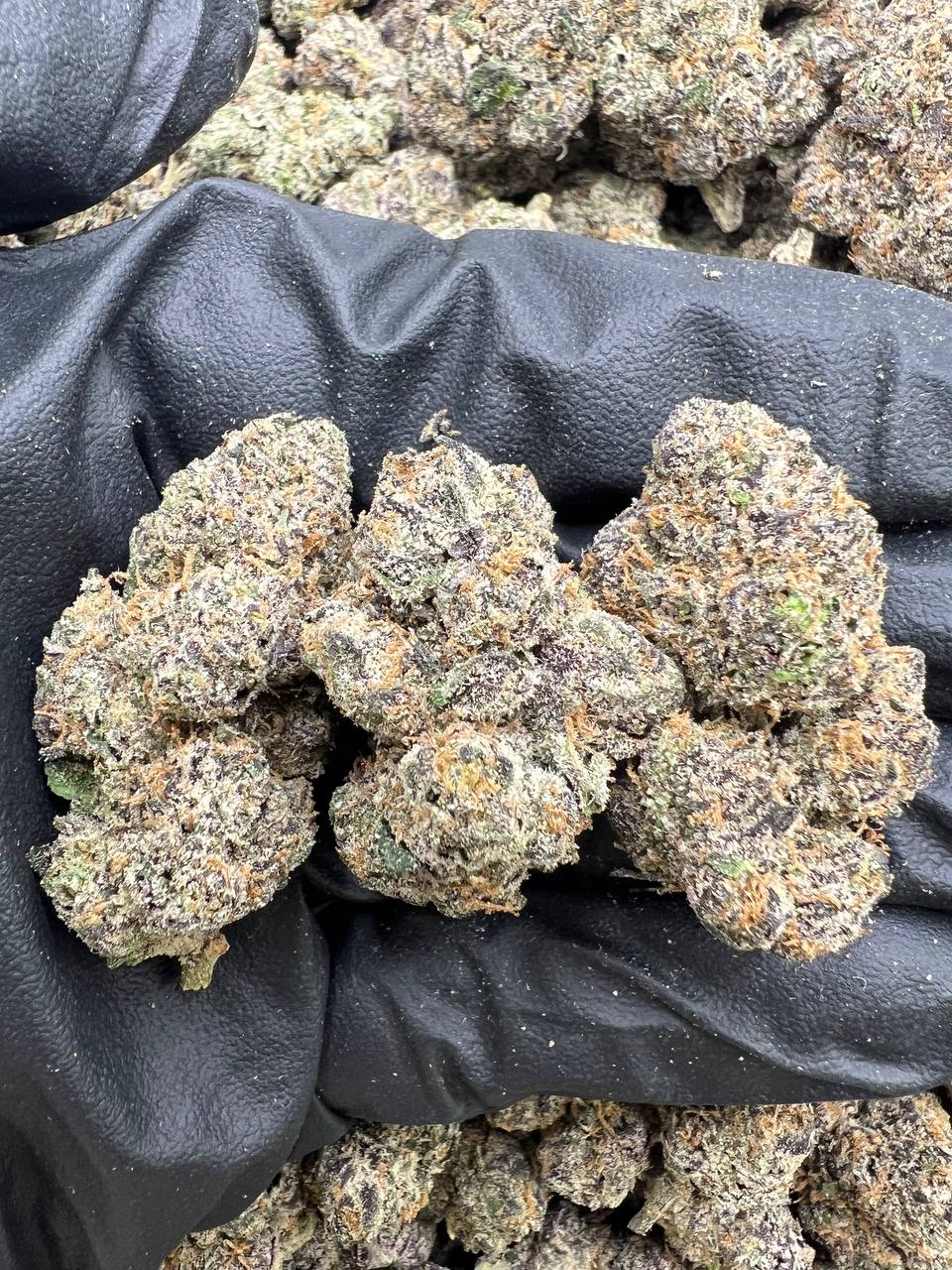 Cherry Gumbo