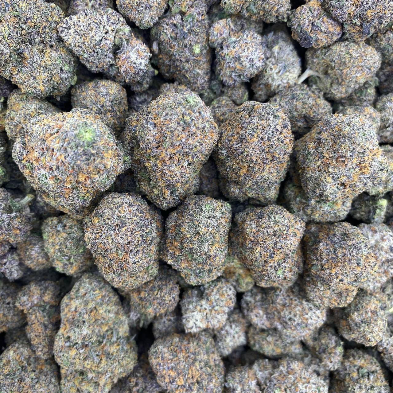 Atomic Cookies