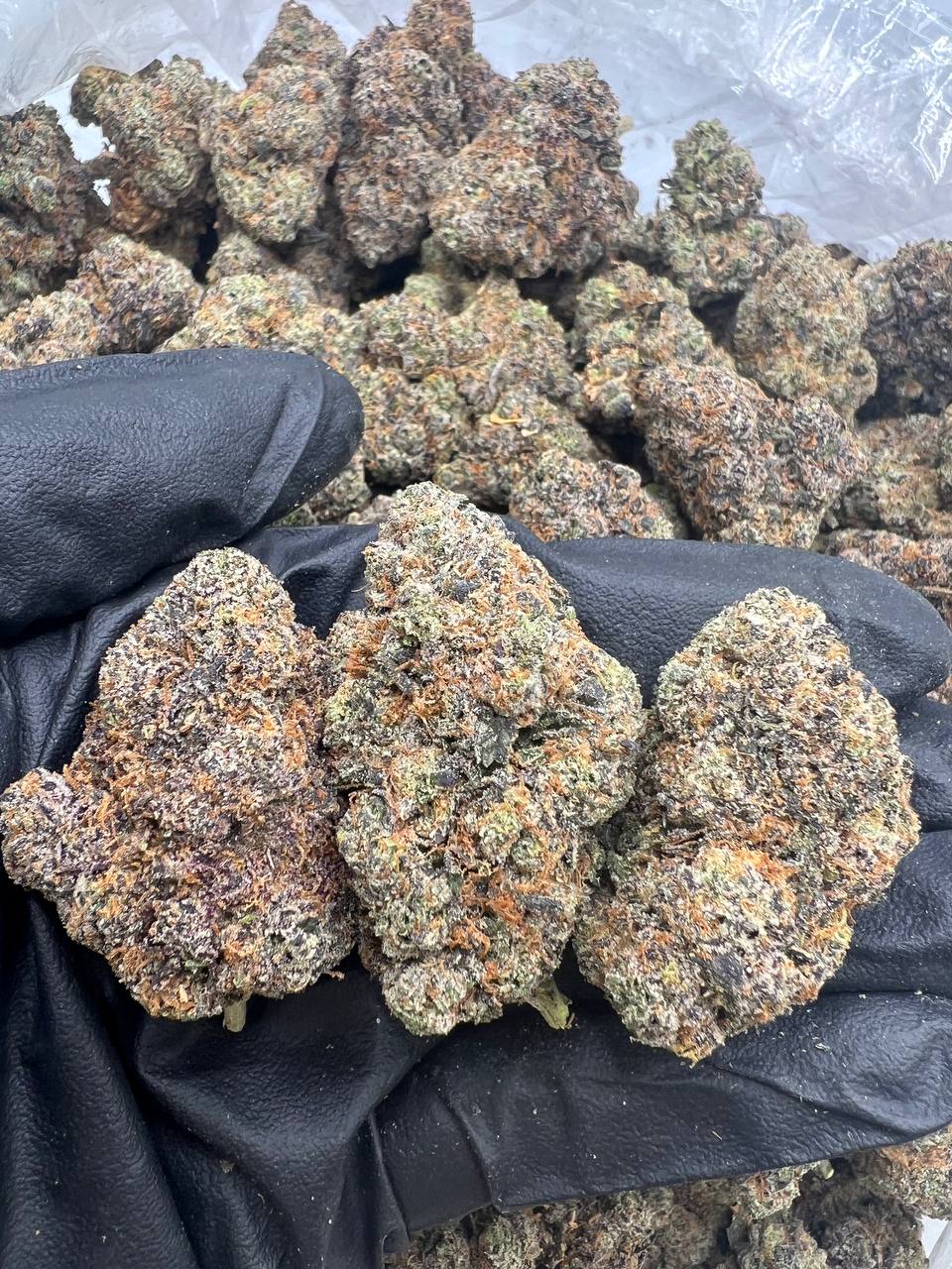 Rainbow Razzles