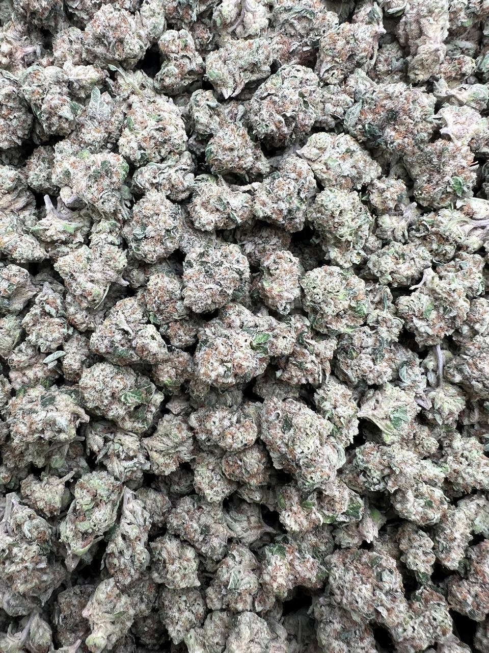Gas Mask Smalls
