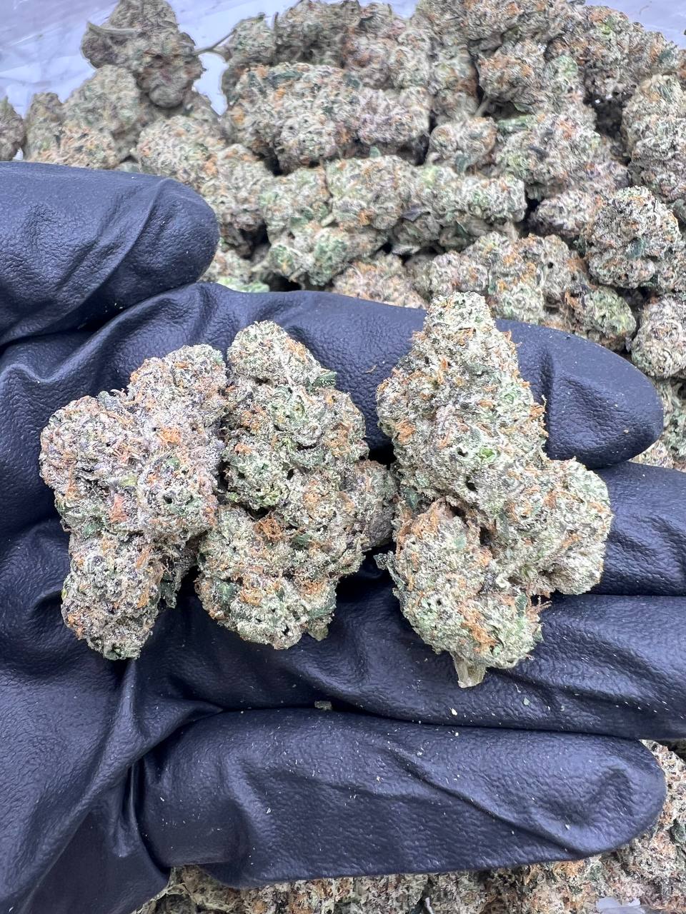 Electric Lemonade