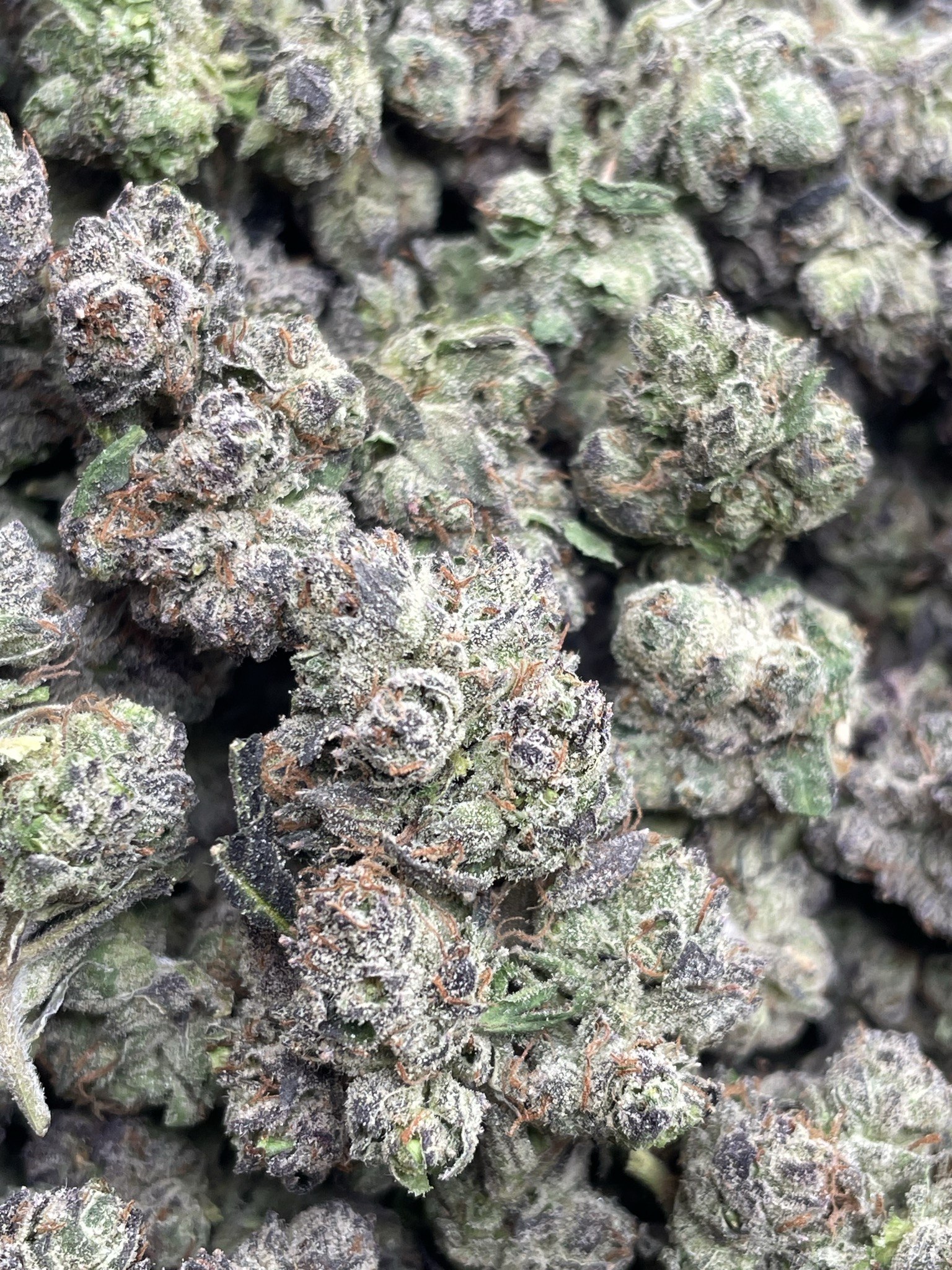 CHERRY RUNTZ SMEDIUMS