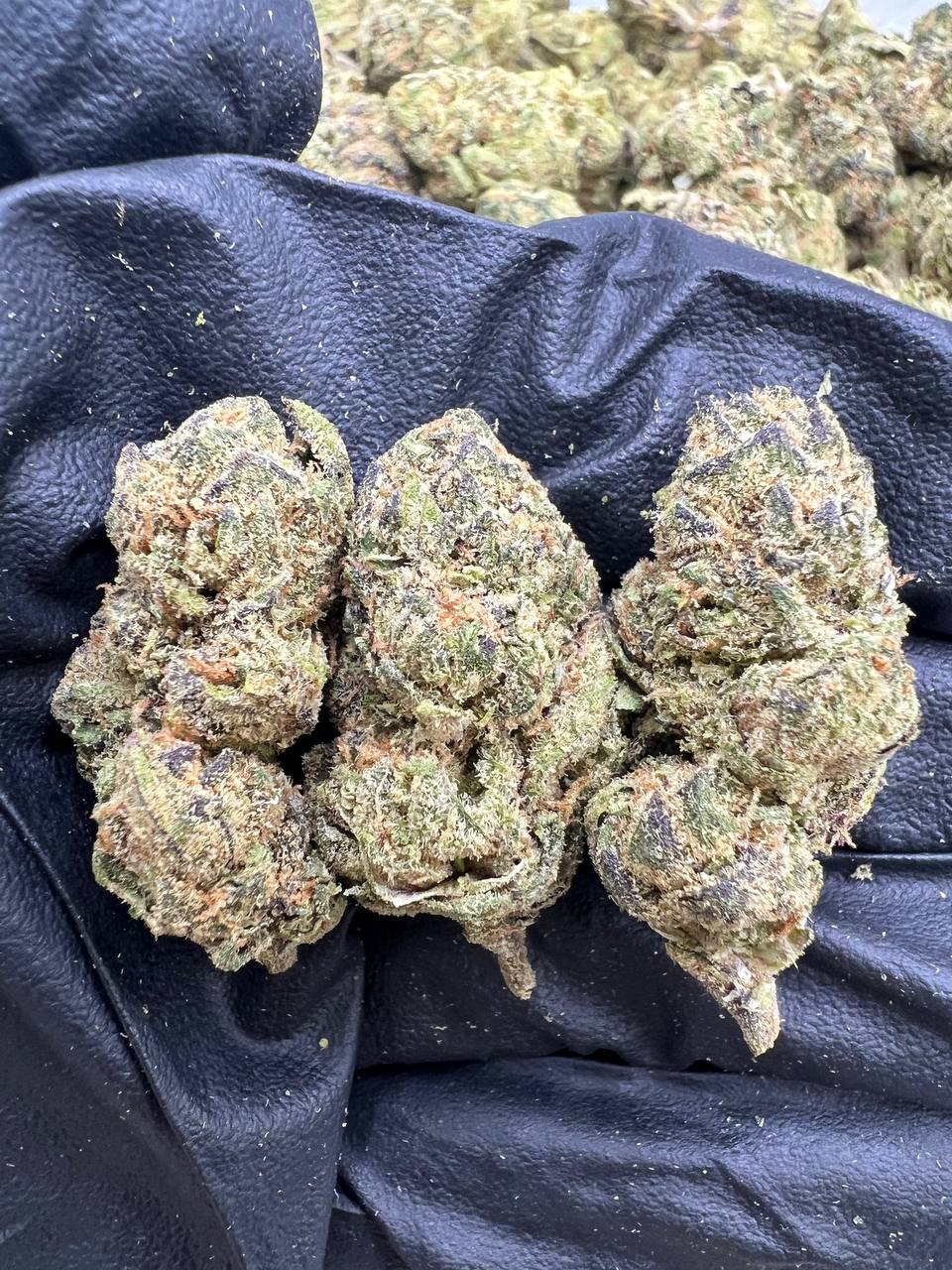 White Nerds Meds