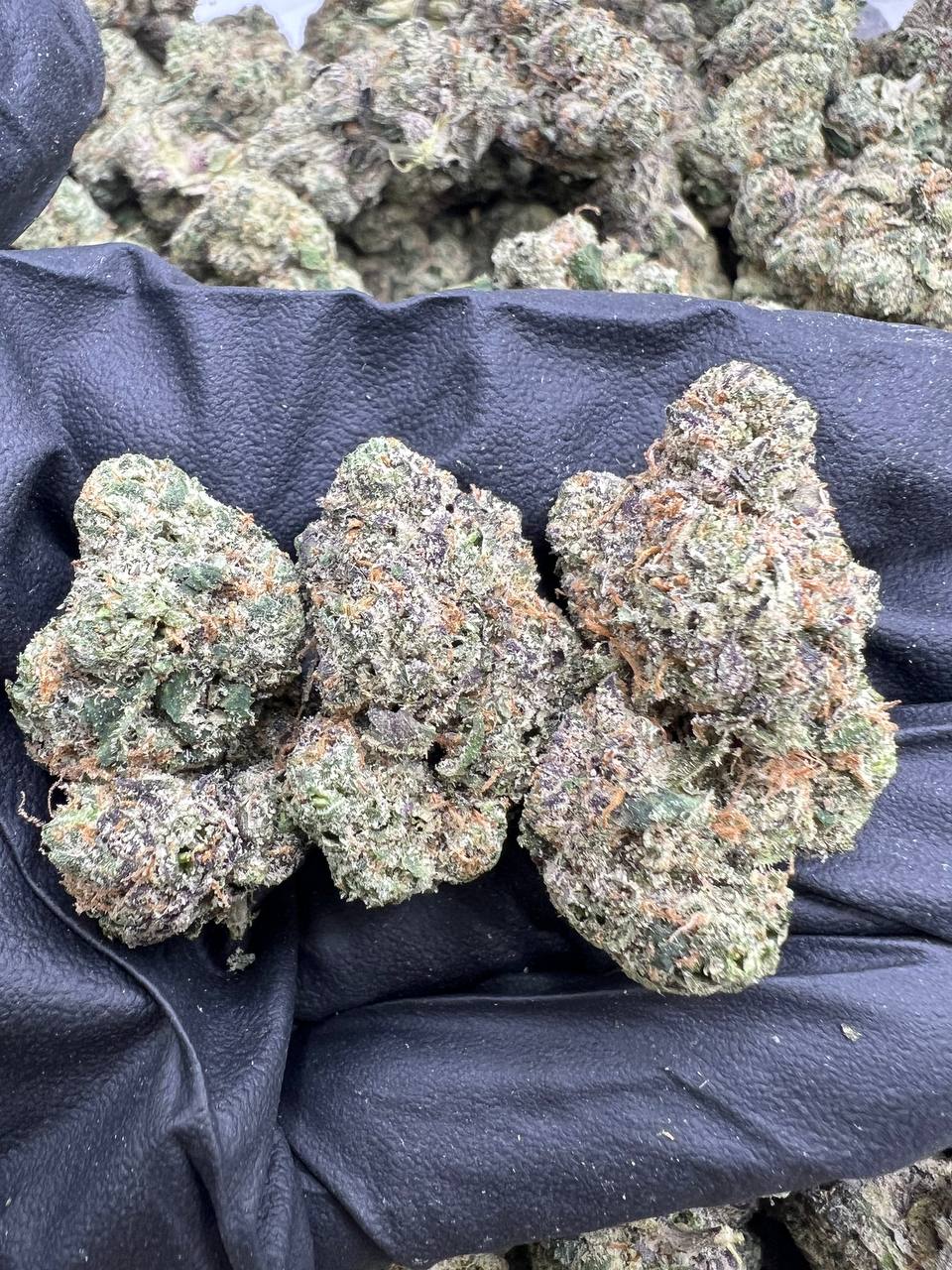 Cherry Banger