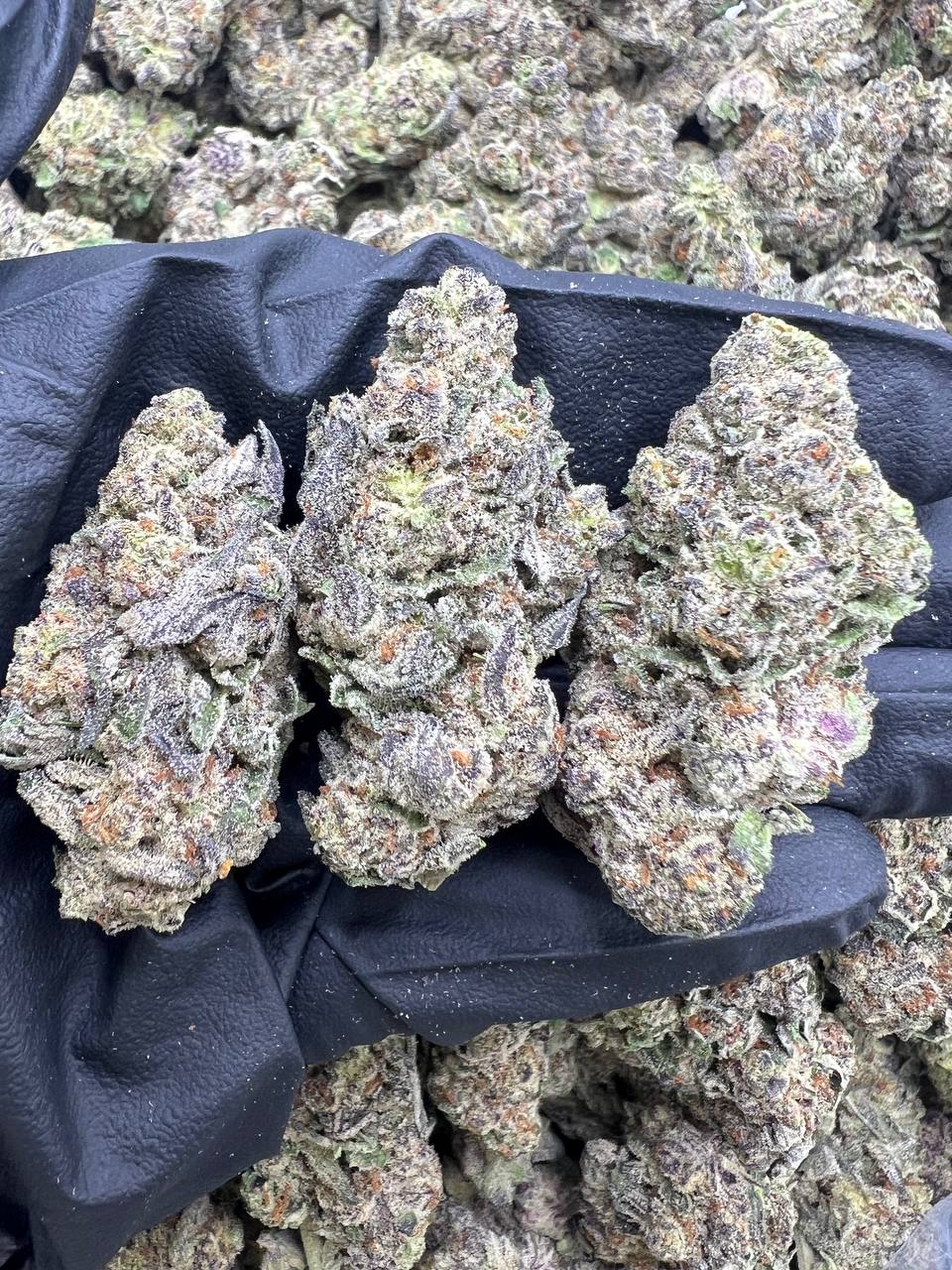 Frozen Glitterbomb