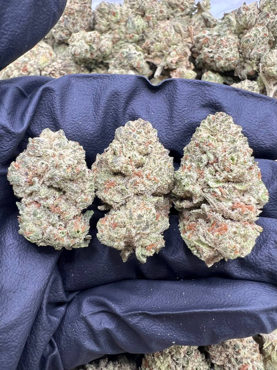 Super Truffle